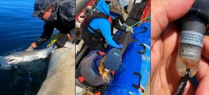 LA SECRETARÍA DE PESCA ACOMPAÑA PROYECTO «MEMORIA DEL OCÉANO»