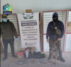 PICO TRUNCADO: DESARTICULAN MANIOBRA DE NARCOTRÁFICO