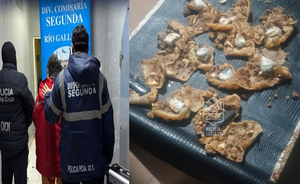 INTENTARON INGRESAR COCAÍNA Y MARIHUANA DENTRO DE EMPANADAS PARA UN INTERNO DETENIDO